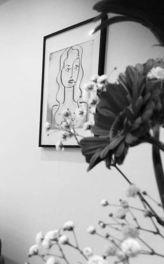 Apartament Carnot Chic Carcassonne Zewnętrze zdjęcie